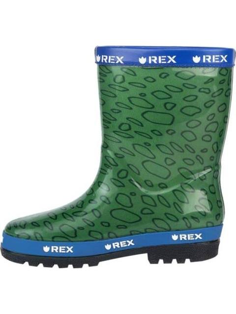 BOTA LLUVIA TOY STORY VERDE TOY STORY