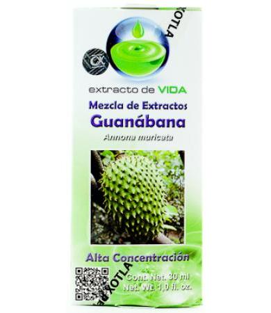 AMP. GINSENG Y JALEA REAL CON GINKGO BILOBA C 6 (10ML) NATURAL SYSTEM