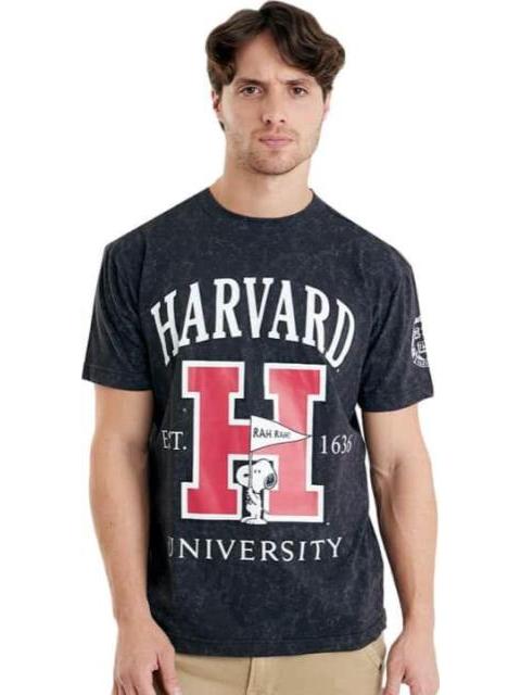 PLAYERA PEANUTS GRIS PEANUTS
