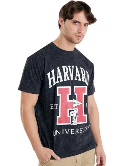 PLAYERA PEANUTS GRIS PEANUTS