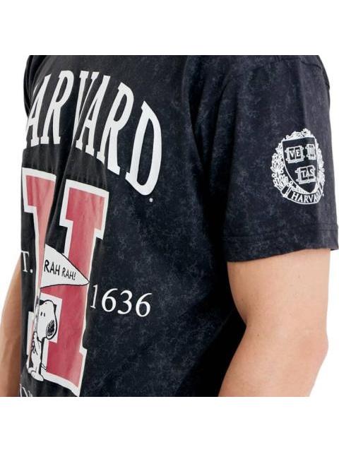PLAYERA PEANUTS GRIS PEANUTS